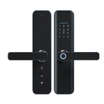 Password Smart Door Lock Tuya Wifi